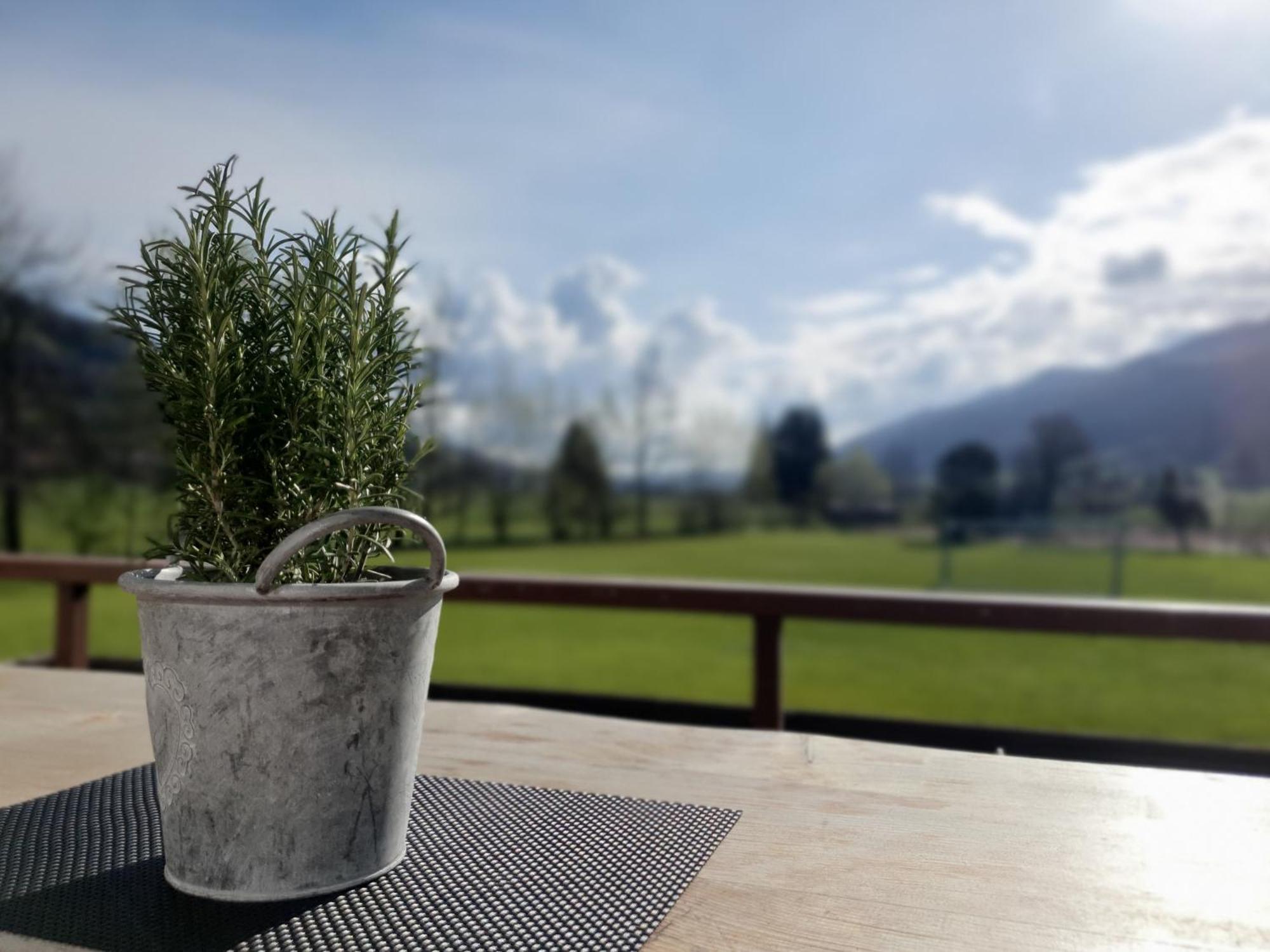 Apartament Haus Denneberg Oberstaufen Zewnętrze zdjęcie